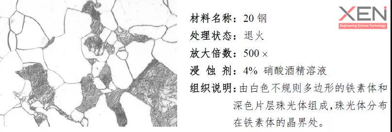图3 20钢.jpg