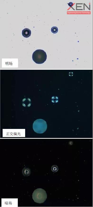 图6 抛丸机上的抛丸在离心式铸造过程中大量破裂.jpg