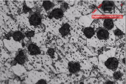 图9 球墨铸铁未抛干净遗留在试样表面的小黑点.jpg