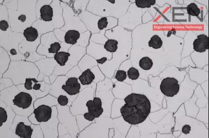 图10 球墨铸铁中真实的组织.jpg